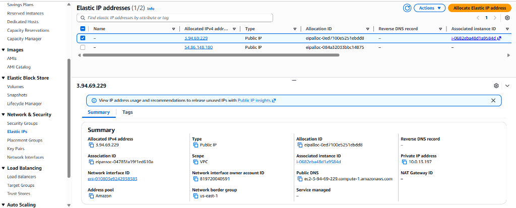 AWS Elastic IPs — Allocated public IPv4 addresses for infrastructure access
